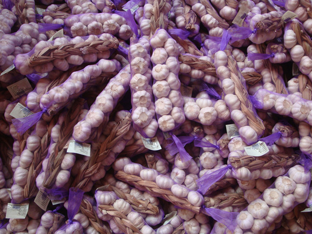 Fresh Garlic Braids