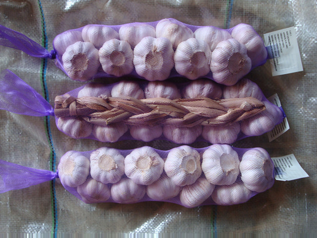 Fresh Garlic Braids