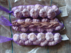 ضفائر الثوم الطازج