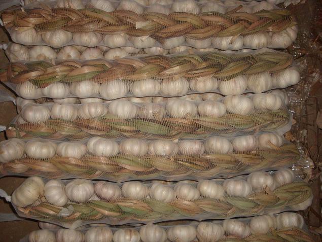 Fresh Garlic Braids