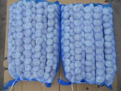 ضفائر الثوم الطازج