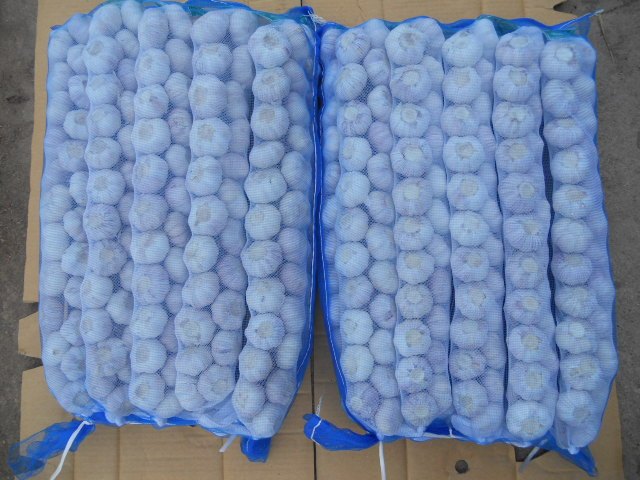 ضفائر الثوم الطازج