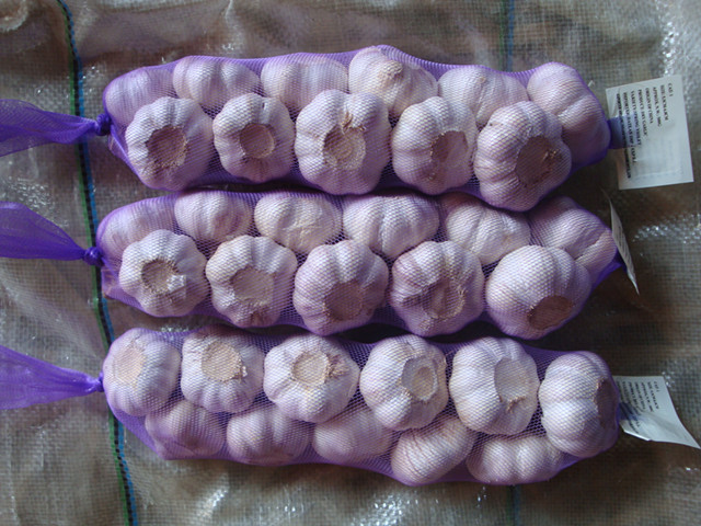 Fresh Garlic Braids