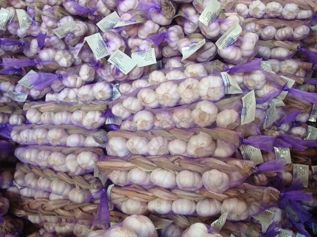 Fresh Garlic Braids