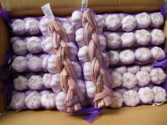 Fresh Garlic Braids