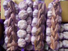 ضفائر الثوم الطازج