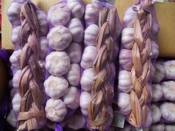 ضفائر الثوم الطازج