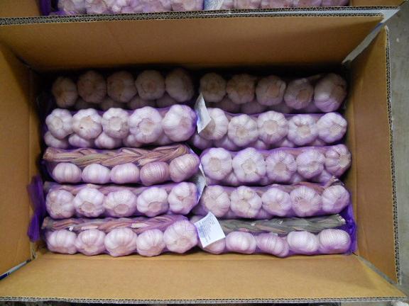 ضفائر الثوم الطازج