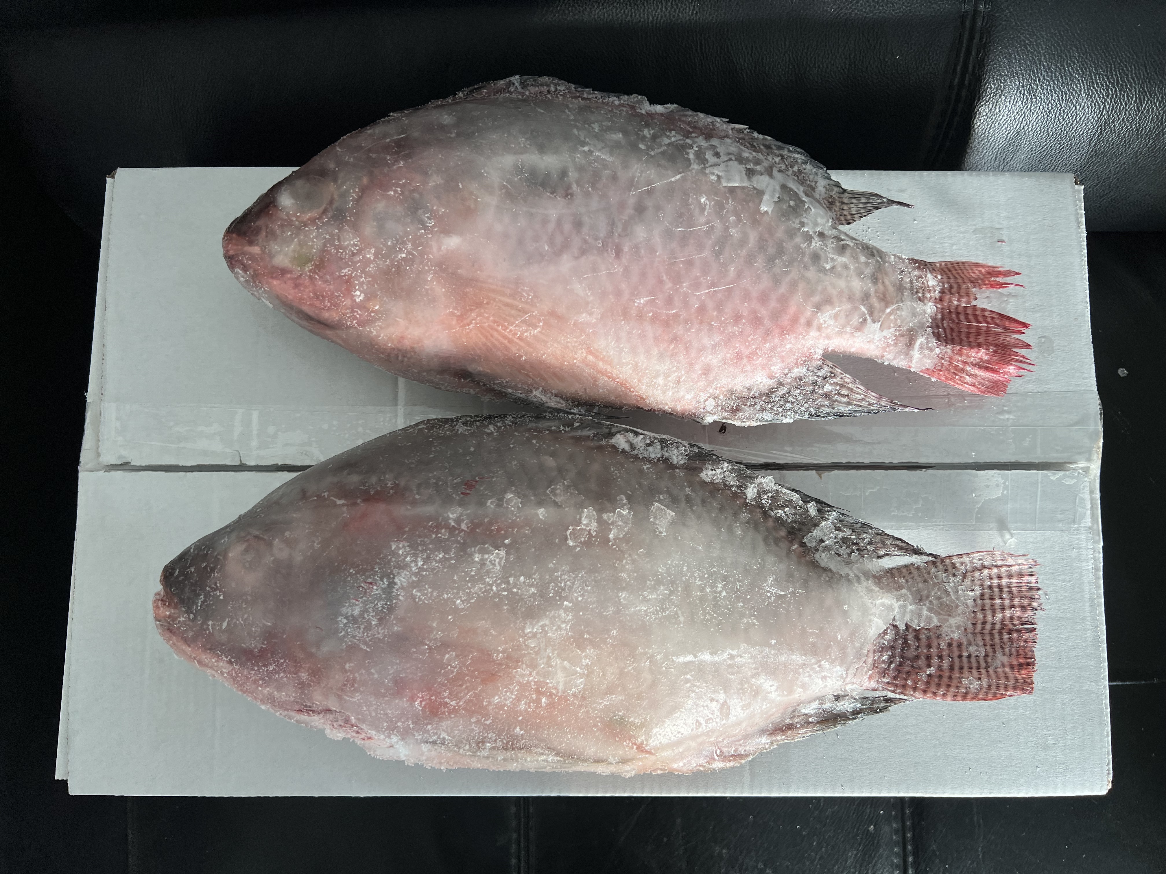 Frozen Tilapia