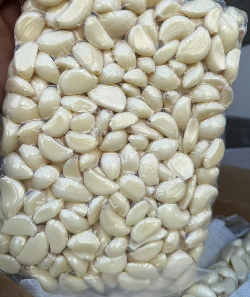 Fresh peeled garlic