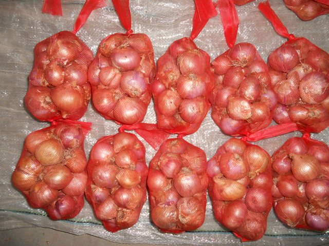 Fresh shallot