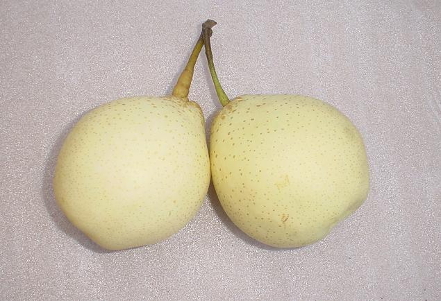 Fresh Ya Pear