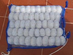 Ajo blanco puro fresco