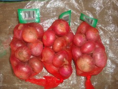 Fresh shallot