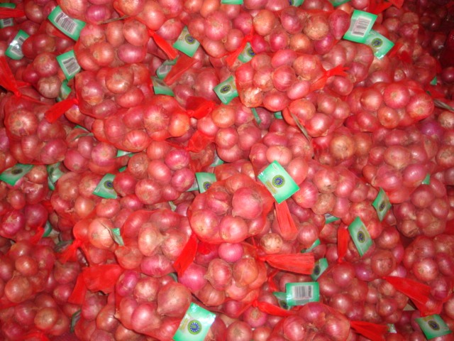 Fresh shallot