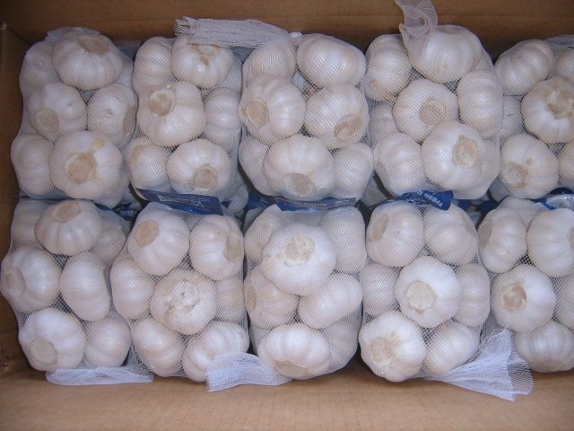 الثوم الأبيض النقي