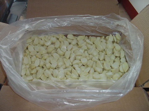 Fresh peeled garlic