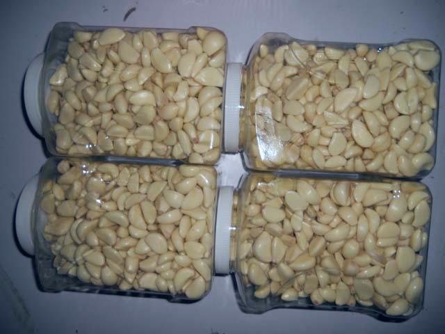 Fresh peeled garlic