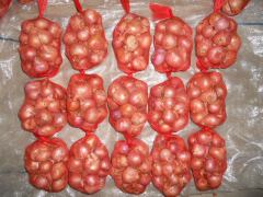 Fresh shallot