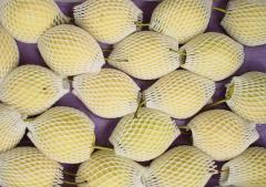 الكمثرى الطازجة