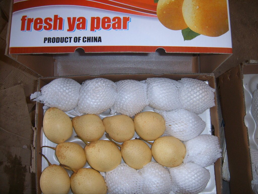 Fresh Ya Pear