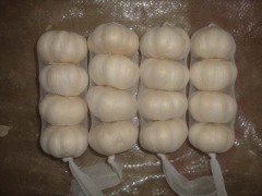 Ajo blanco puro fresco