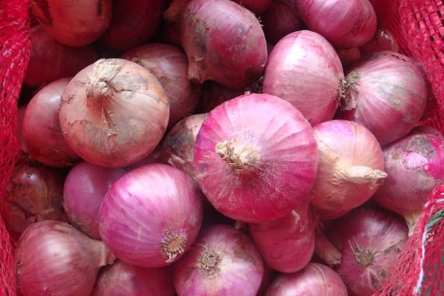 البصل الأحمر الطازج