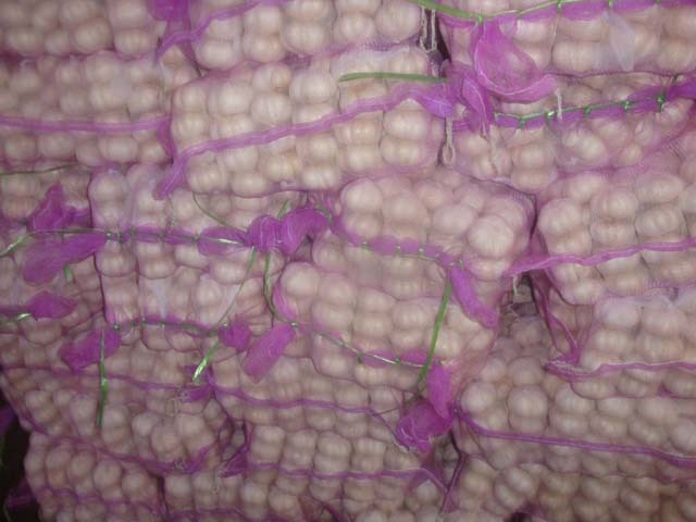 Ajo blanco puro fresco