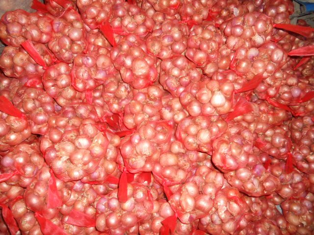 Fresh shallot
