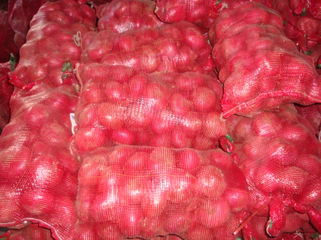 Fresh Red Onion