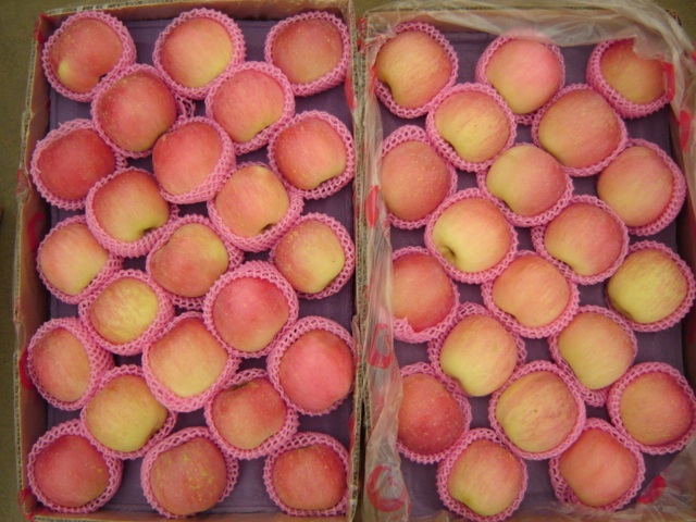 Fresh Fuji Apple