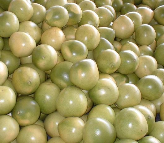 الجريب فروت الطازج