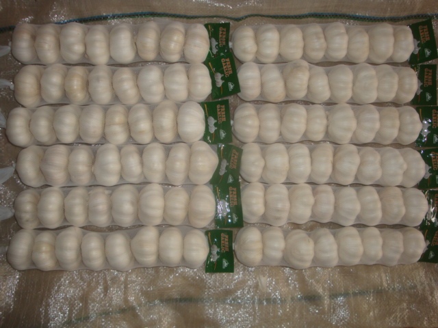 Ajo blanco puro fresco