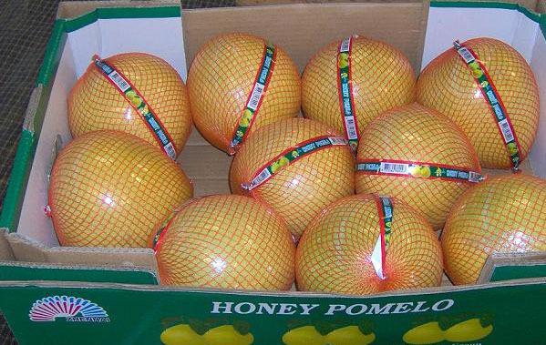 Fresh pomelo