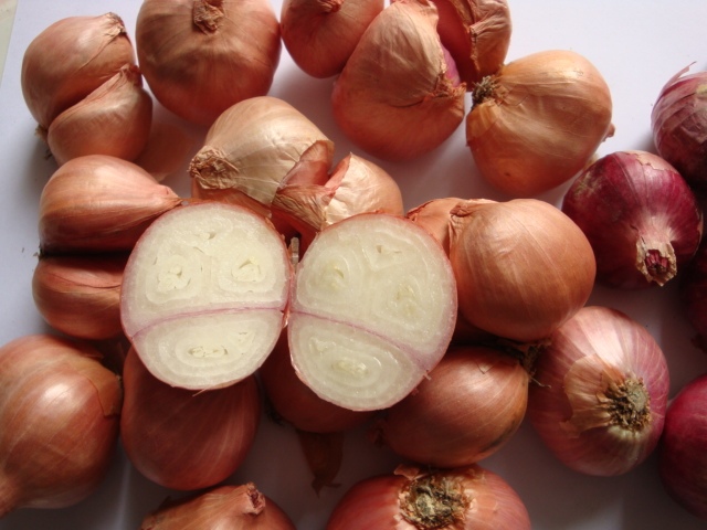 Fresh shallot