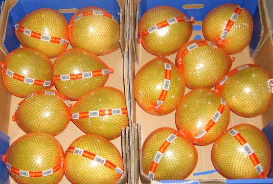 Fresh pomelo