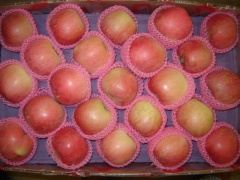 Manzana Fuji fresca