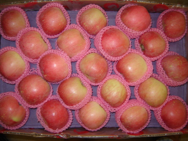 Manzana Fuji fresca