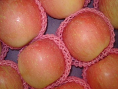 Manzana Fuji fresca
