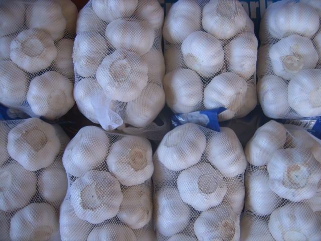 Ajo blanco puro fresco