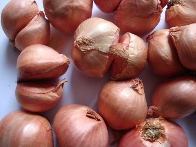 Fresh shallot