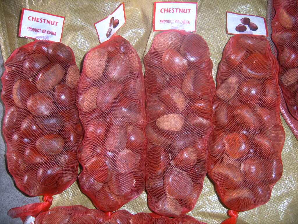 Chestnut
