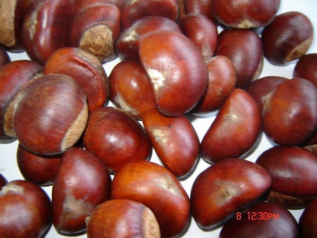 Chestnut