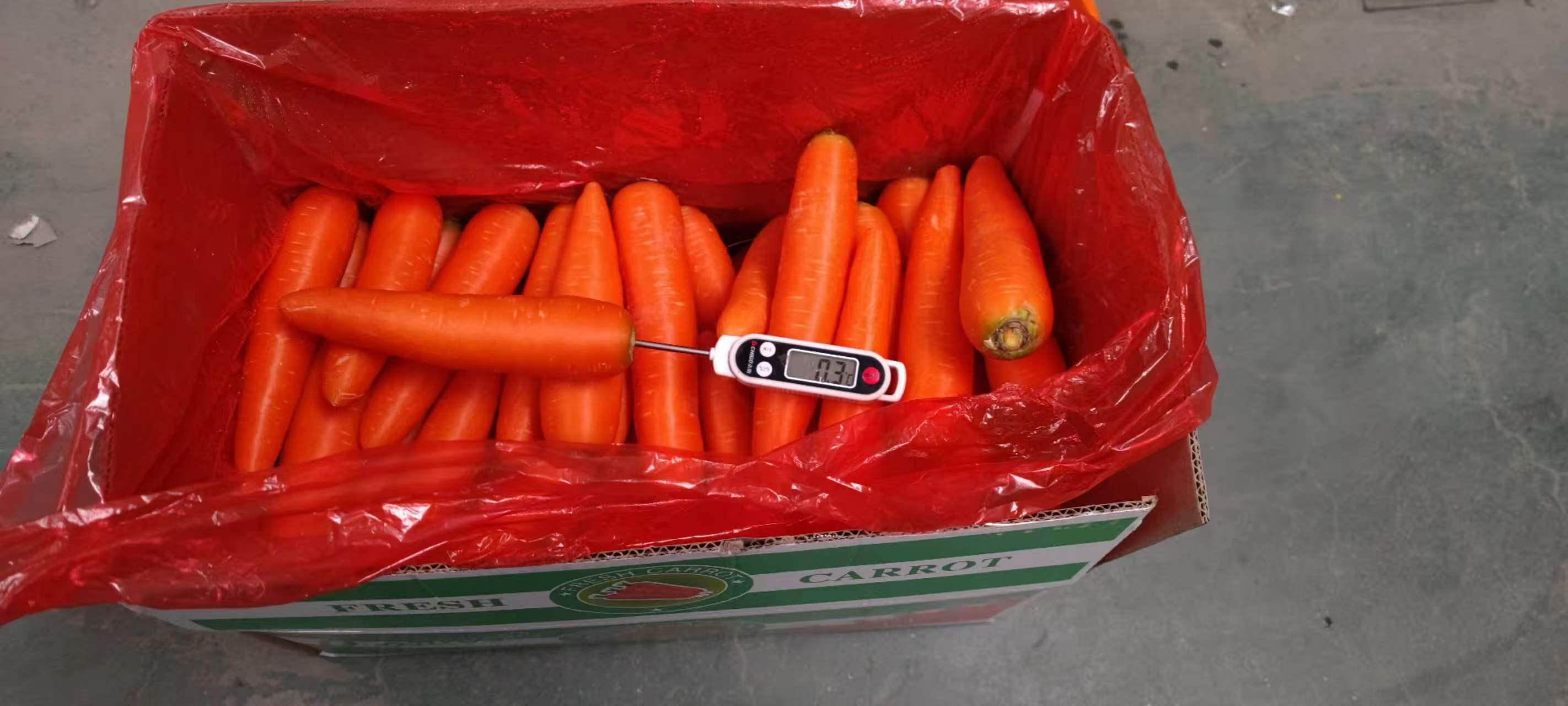 Fresh Carrot