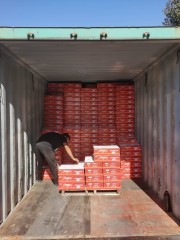 Tomato Paste