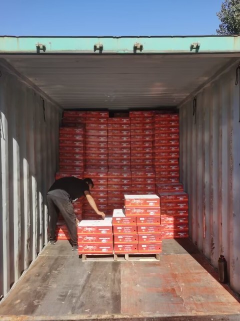 Tomato Paste
