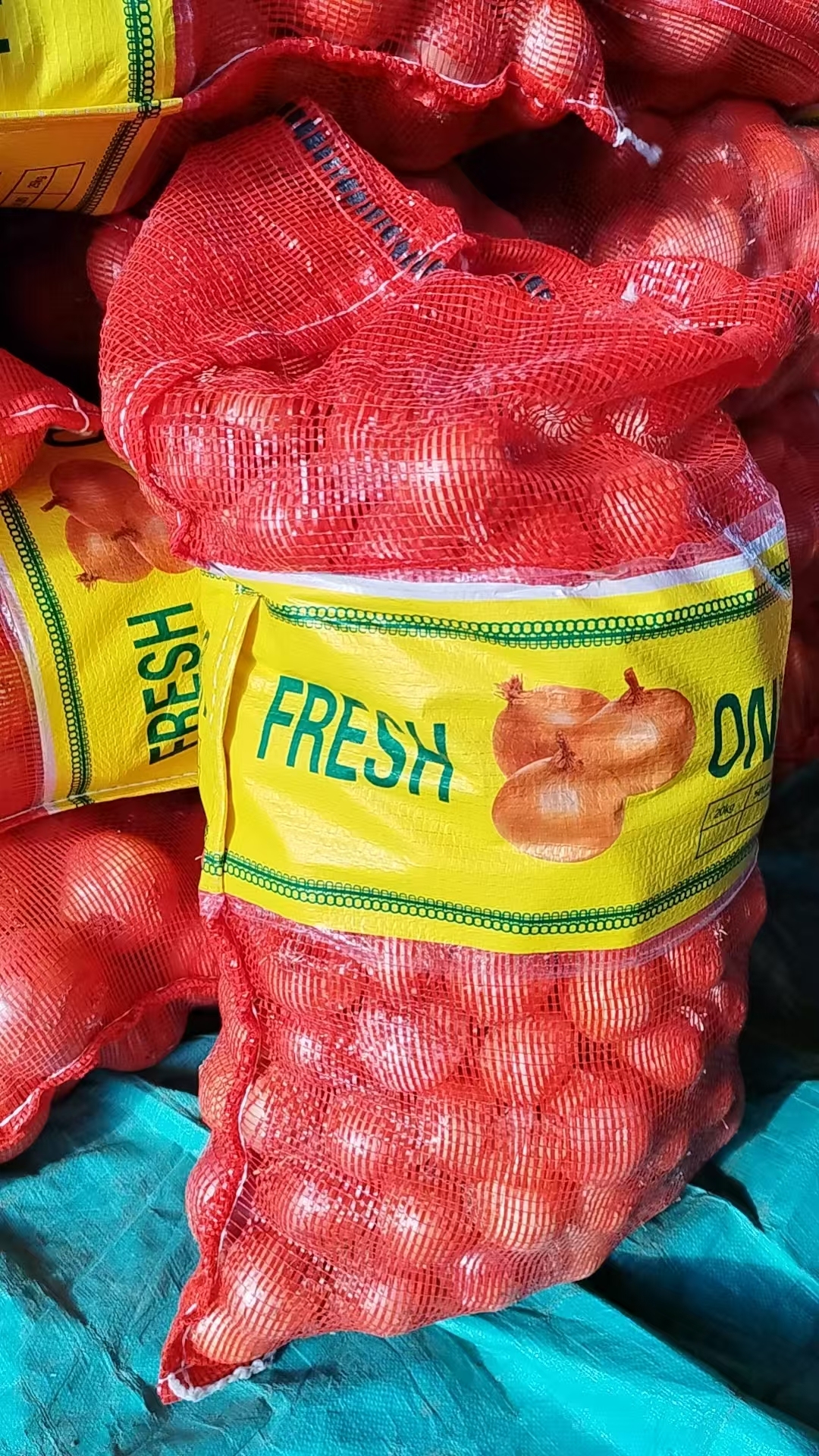 Fresh Red Onion
