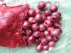 Cebolla roja fresca