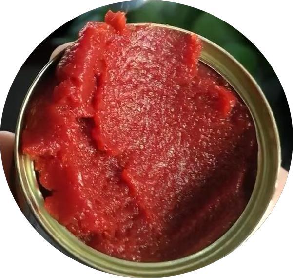 pâte de tomate