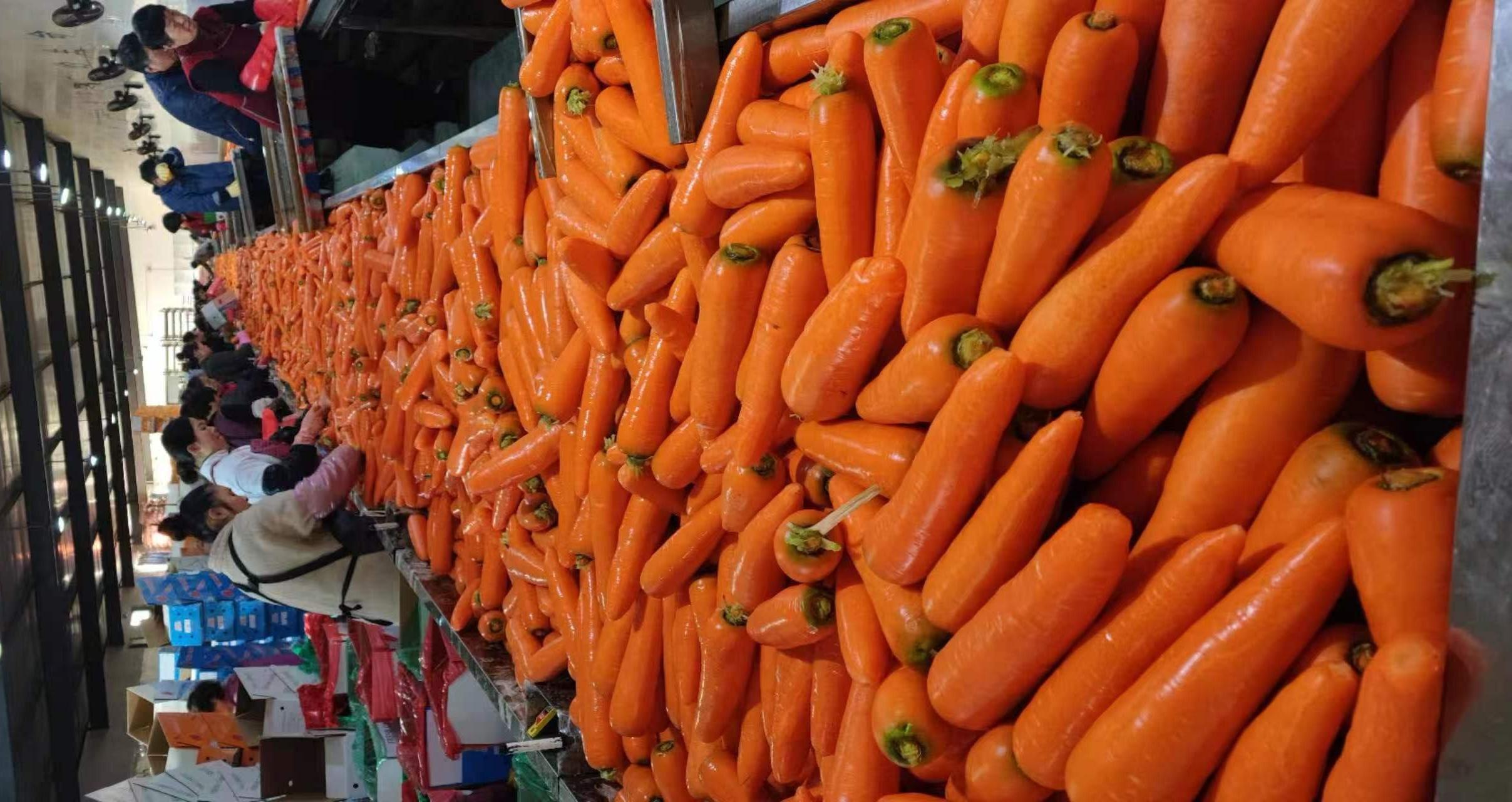 Fresh Carrot
